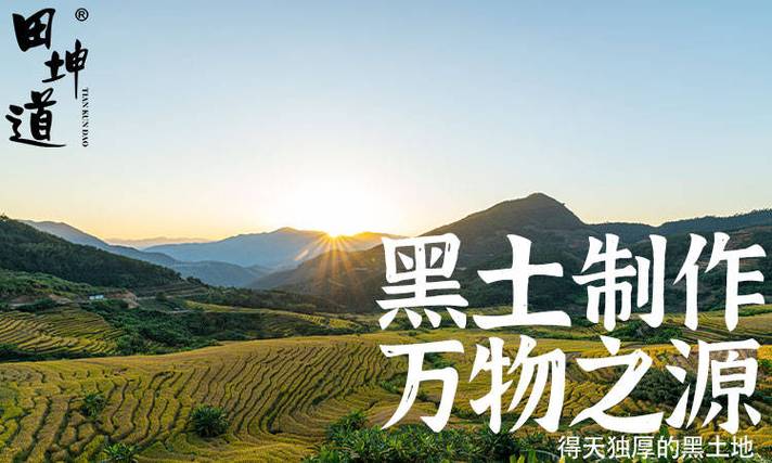 田坤道|绿色粮油领航者,品质赢得市场口碑